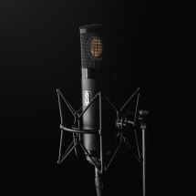 Microphone with shockstand